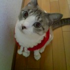 あてきち☆